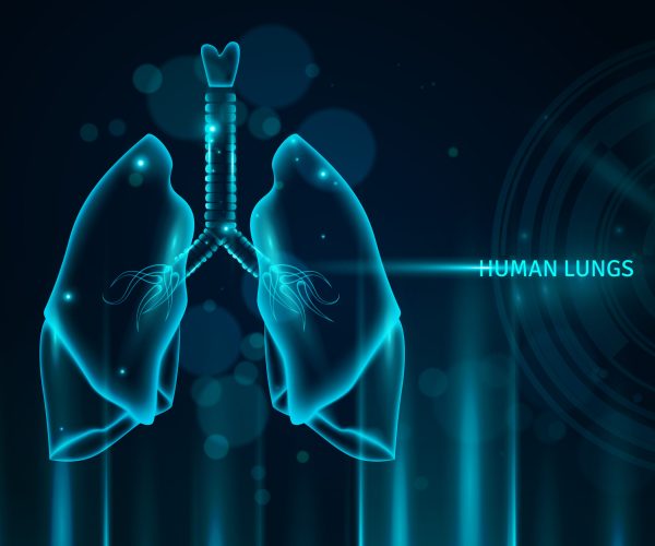 Transparent human lungs in blue color background with light effects and bokeh flat vector illustration