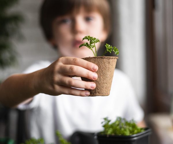 defocused-little-boy-holding-plant-pot-home