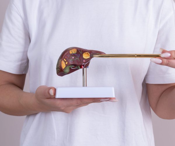 doctor pointing a liver mockup