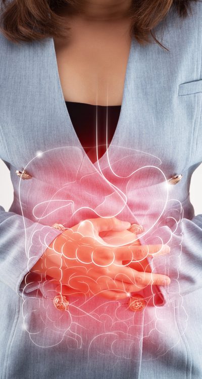 Illustration of internal organs is on the woman's body against the gray background. Business Woman touching stomach painful suffering from enteritis. internal organs of the human body.